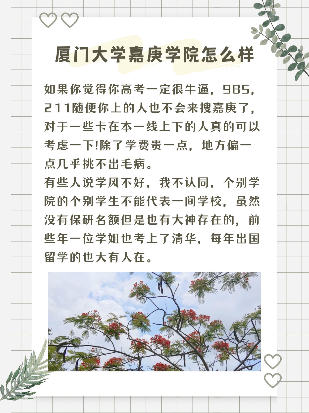 厦门大学嘉庚学院怎么样