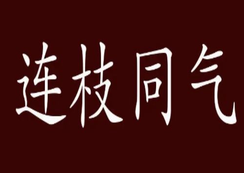 成语同气连枝比喻什么