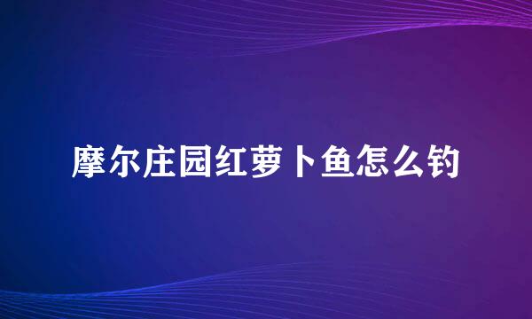 摩尔庄园红萝卜鱼怎么钓