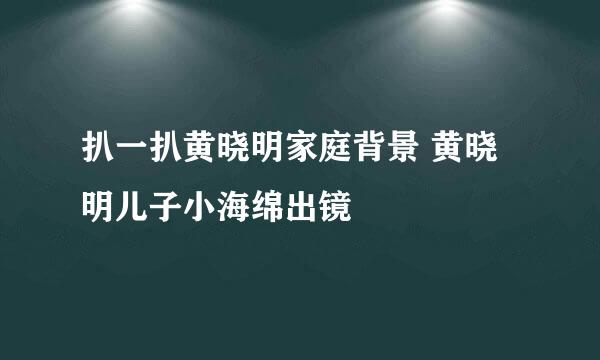 扒一扒黄晓明家庭背景 黄晓明儿子小海绵出镜