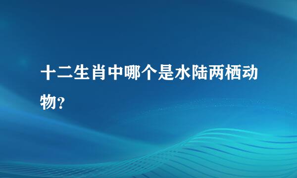 十二生肖中哪个是水陆两栖动物？