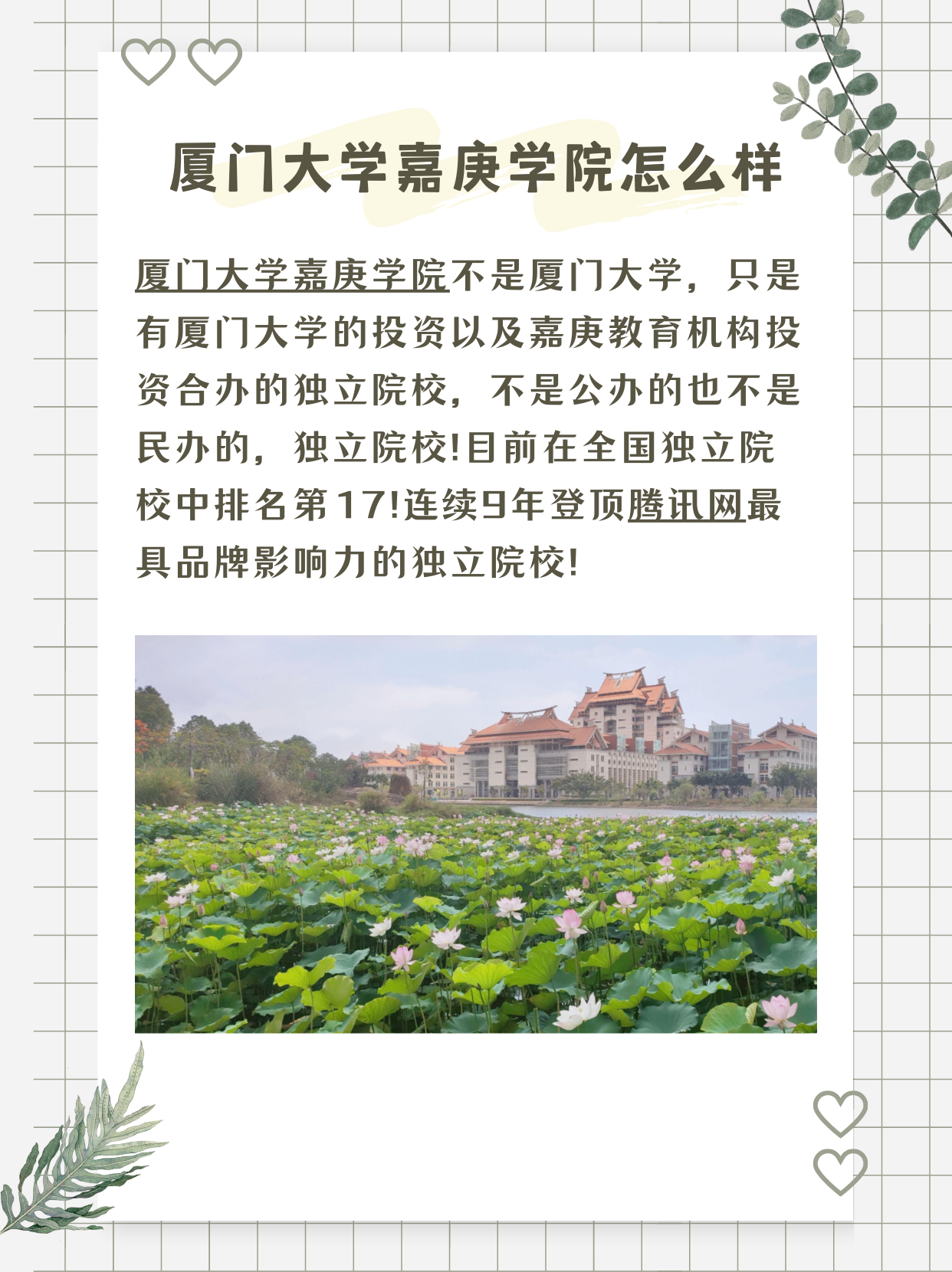 厦门大学嘉庚学院怎么样