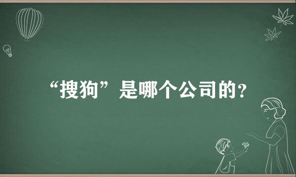 “搜狗”是哪个公司的？