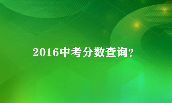 2016中考分数查询？