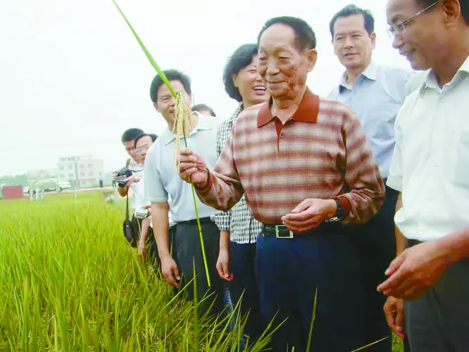 留学生们请看一看！袁隆平曾拒绝5千美元的月薪，袁老为何放弃了？