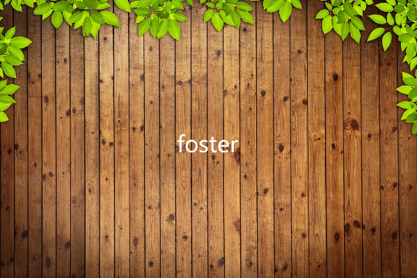 foster什么意思