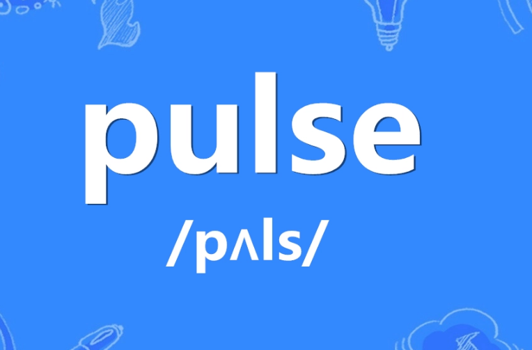 pulse 什么意思