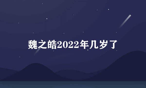 魏之皓2022年几岁了