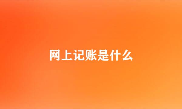 网上记账是什么