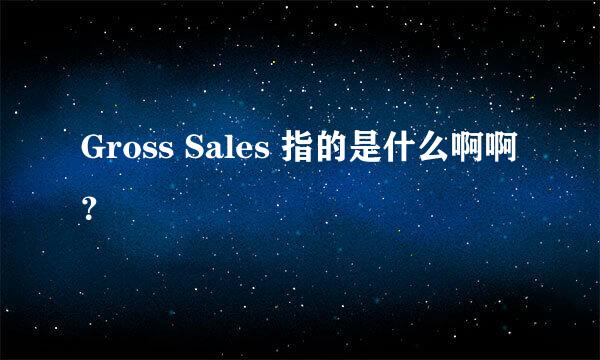 Gross Sales 指的是什么啊啊？