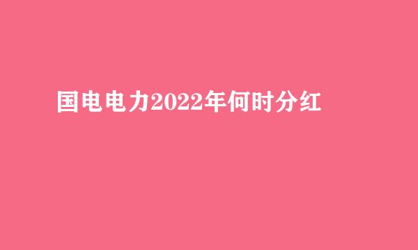 国电电力2022年何时分红