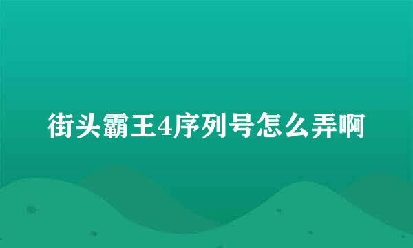 街头霸王4序列号怎么弄啊