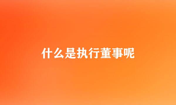 什么是执行董事呢