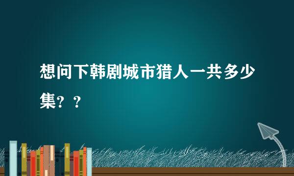 想问下韩剧城市猎人一共多少集？？