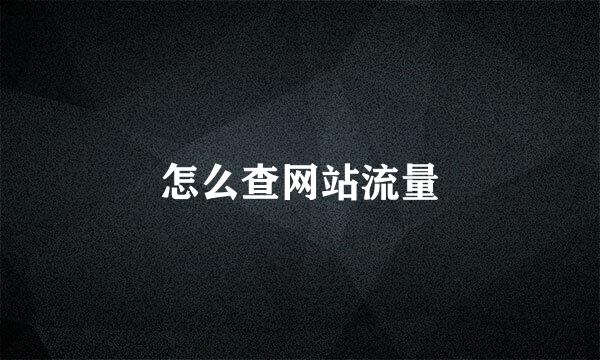 怎么查网站流量