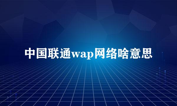 中国联通wap网络啥意思