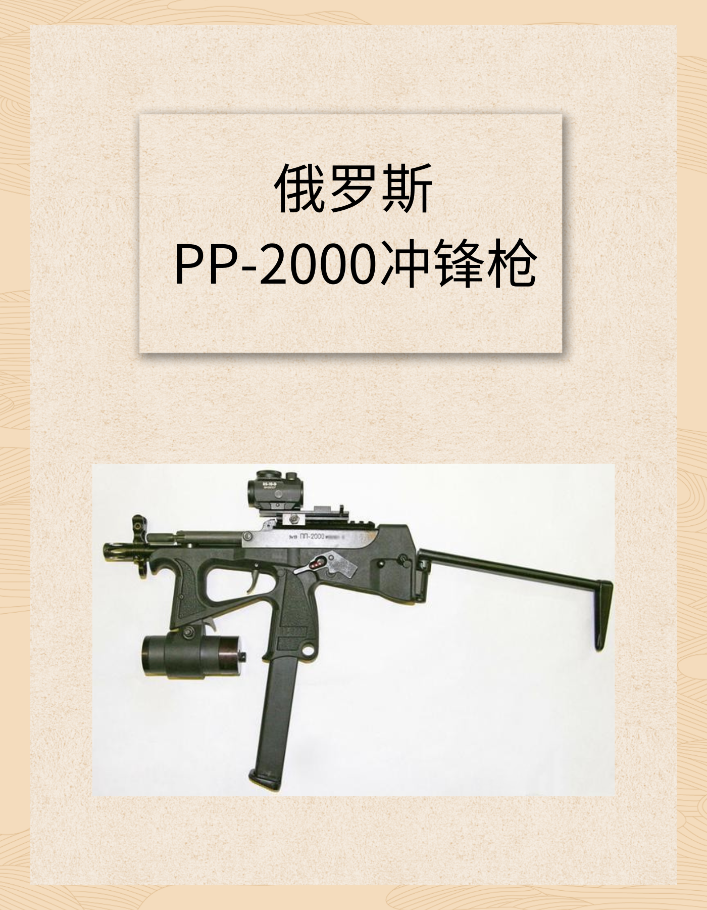 俄罗斯PP-2000冲锋枪