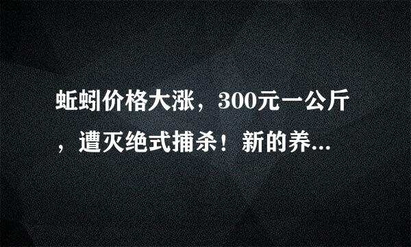 蚯蚓价格大涨，300元一公斤，遭灭绝式捕杀！新的养殖项目来了？