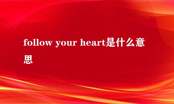 follow your heart是什么意思