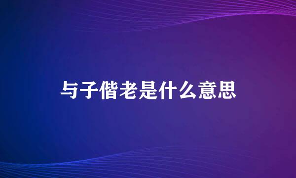 与子偕老是什么意思