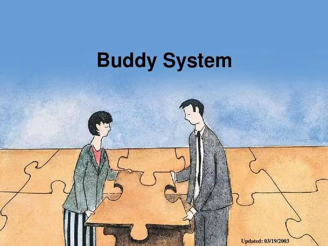 buddy什么意思