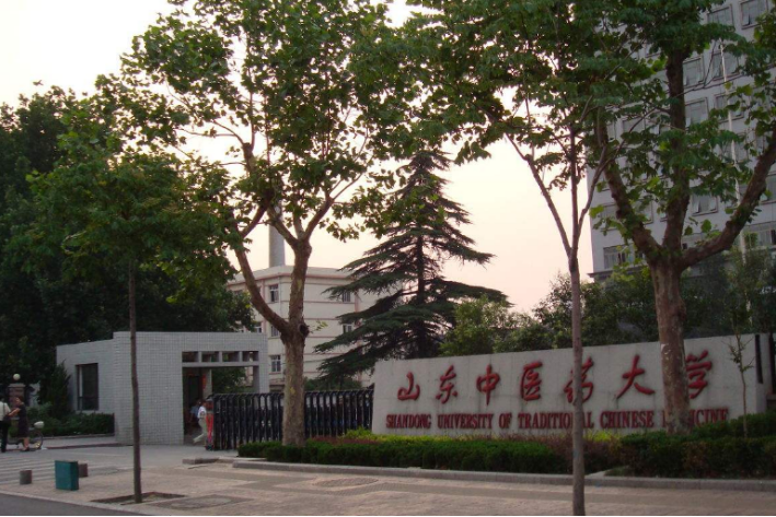 山东中医药大学研究生处电话