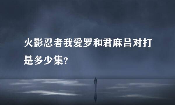 火影忍者我爱罗和君麻吕对打是多少集？