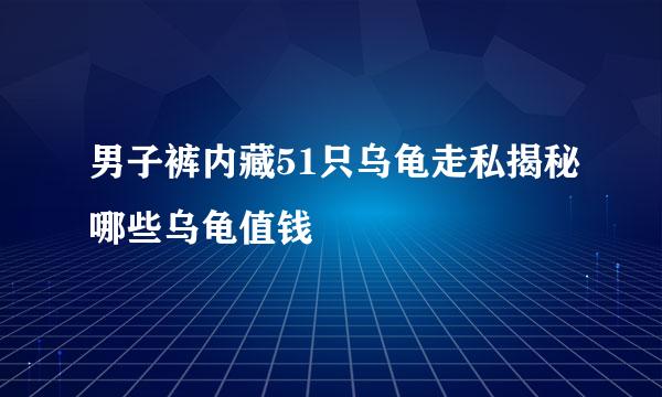 男子裤内藏51只乌龟走私揭秘哪些乌龟值钱