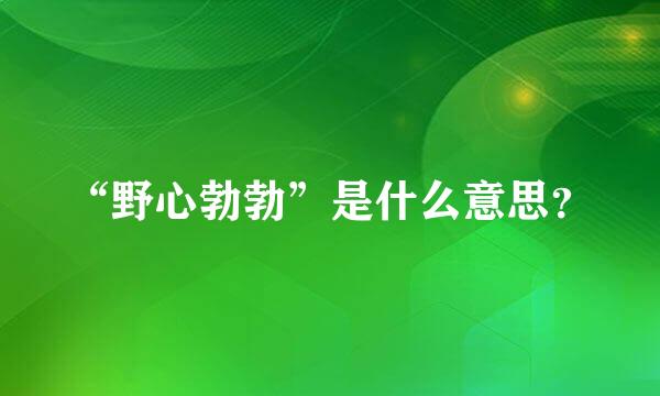 “野心勃勃”是什么意思？