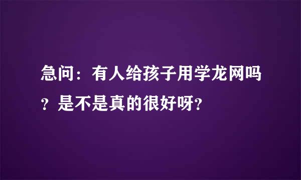 急问：有人给孩子用学龙网吗？是不是真的很好呀？