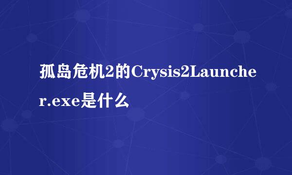 孤岛危机2的Crysis2Launcher.exe是什么