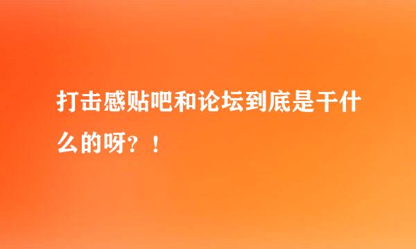 打击感贴吧和论坛到底是干什么的呀？！