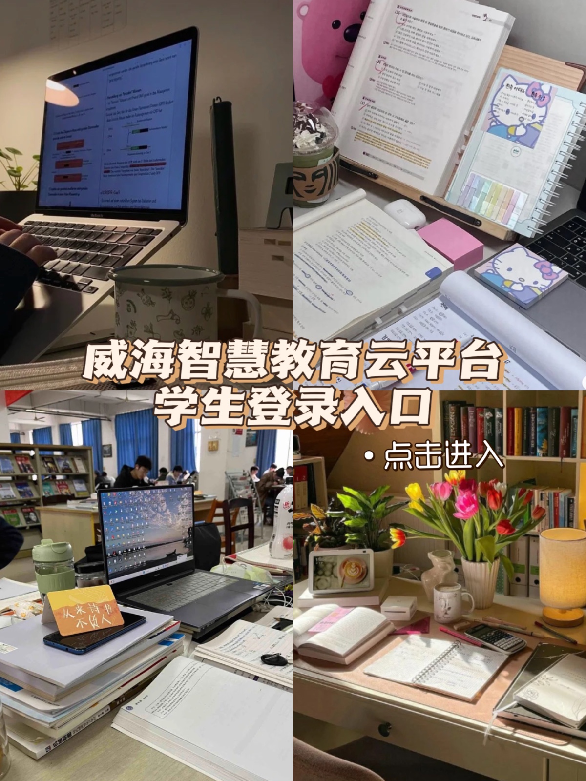 威海智慧教育云平台学生登录入口