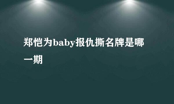 郑恺为baby报仇撕名牌是哪一期