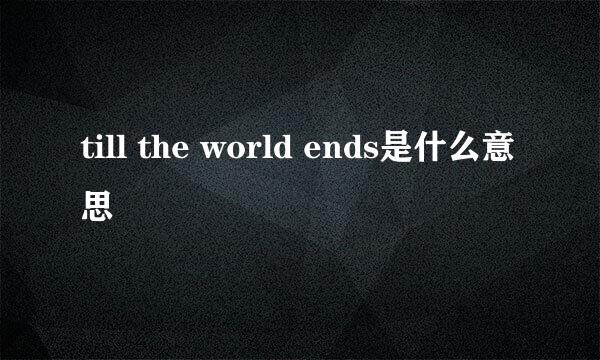 till the world ends是什么意思