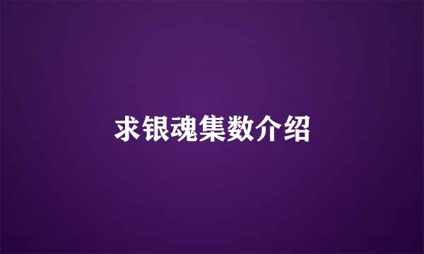 求银魂集数介绍