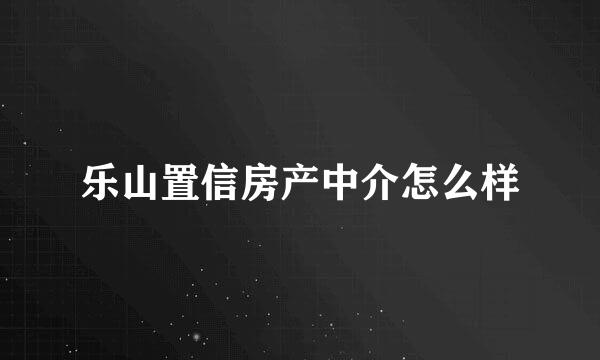 乐山置信房产中介怎么样