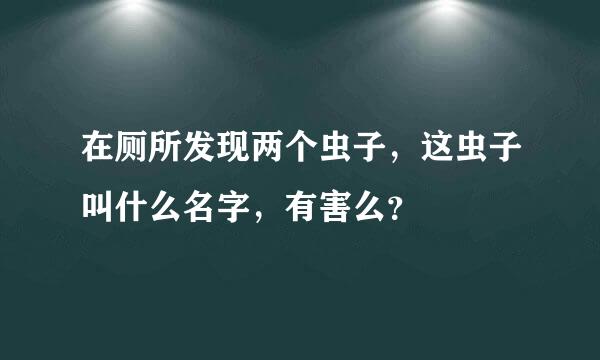 在厕所发现两个虫子，这虫子叫什么名字，有害么？