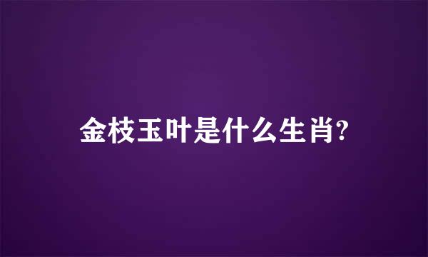 金枝玉叶是什么生肖?