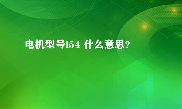 电机型号l54 什么意思？