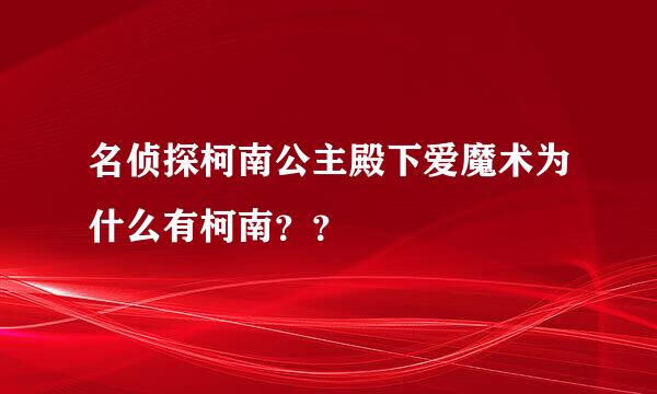 名侦探柯南公主殿下爱魔术为什么有柯南？？