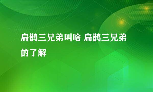 扁鹊三兄弟叫啥 扁鹊三兄弟的了解