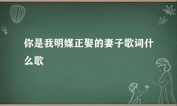 你是我明媒正娶的妻子歌词什么歌