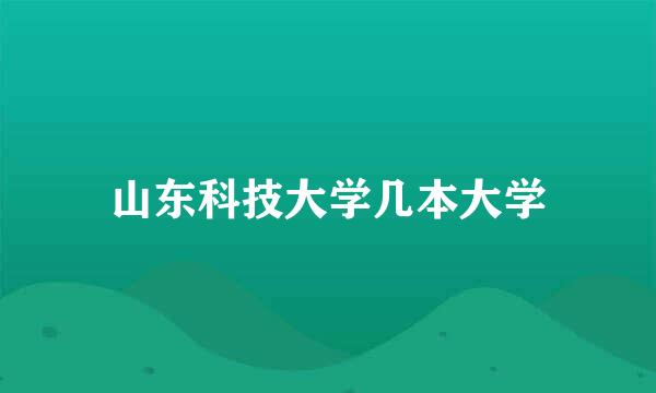 山东科技大学几本大学