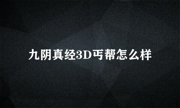 九阴真经3D丐帮怎么样