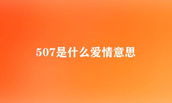 507是什么爱情意思