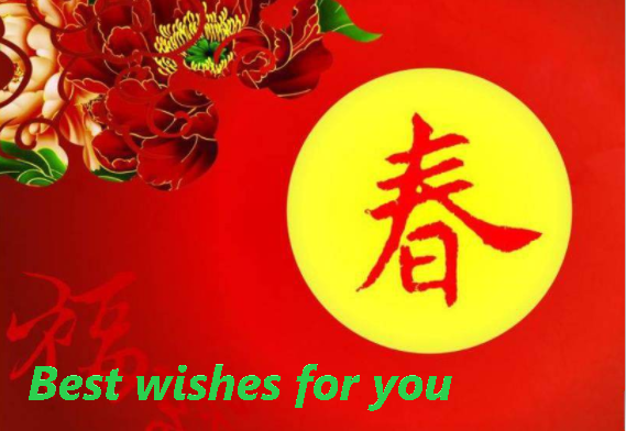 Best wishes for you怎么读， Best wishes foryou怎么读？