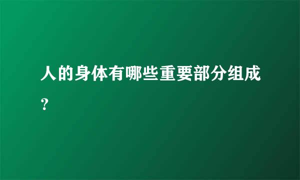 人的身体有哪些重要部分组成？