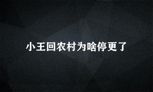 小王回农村为啥停更了