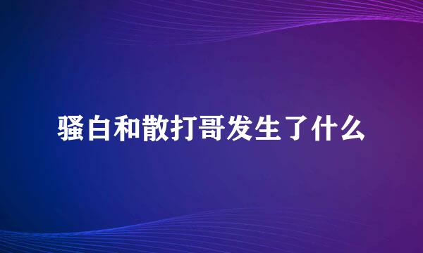 骚白和散打哥发生了什么